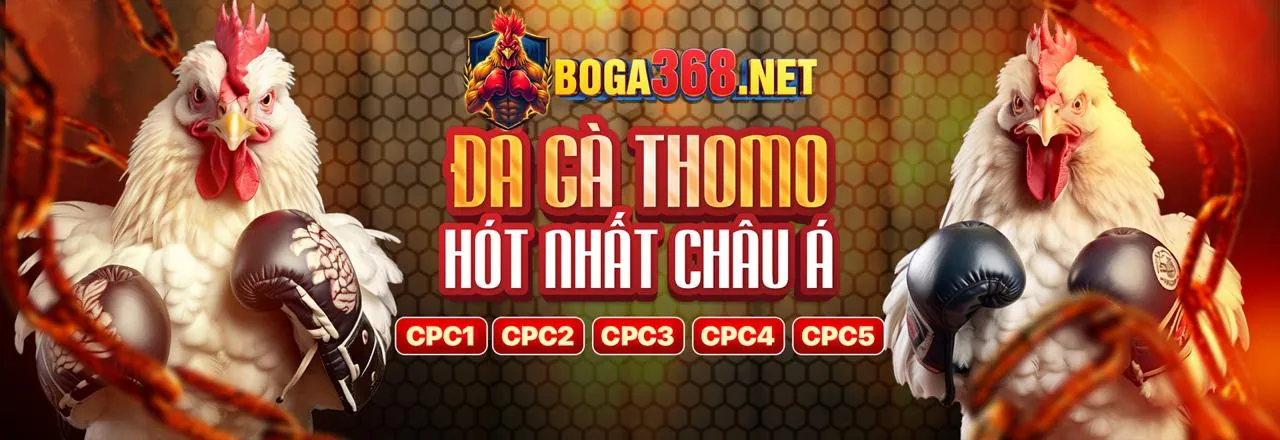 Sân vận động lớn với khán giả cổ vũ, thể hiện sự sôi động của cá cược thể thao tại 84win